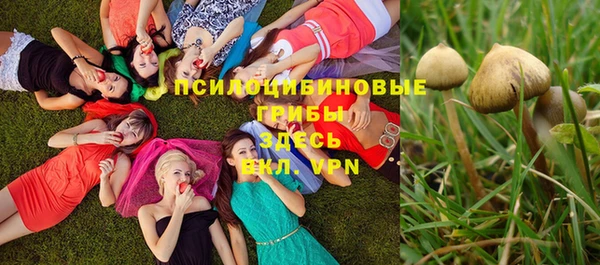 mdpv Инсар