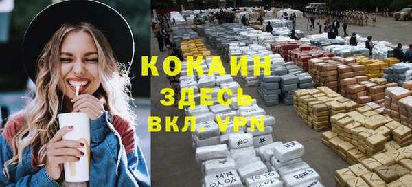 тгк Алексин