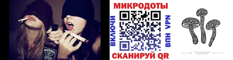 Псилоцибиновые грибы Magic Shrooms  купить закладку  Спасск-Рязанский 
